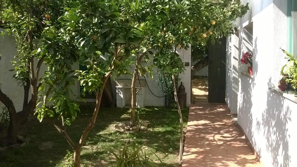 Sardinia Eco Vegan House Bed & Breakfast Zeddiani Exterior photo