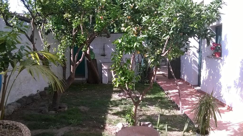 Sardinia Eco Vegan House Bed & Breakfast Zeddiani Exterior photo